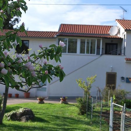 Apartment Rama Poreč Exteriör bild